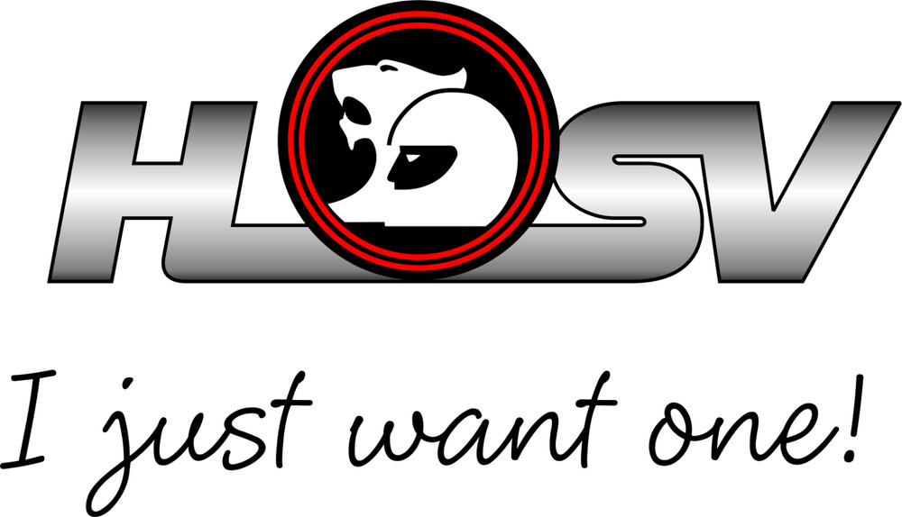 HSV I JUST WANT ONE STYLE STICKER BY KILLER GRAFFIX HOLDEN HSV DIGITAL PRINT