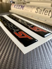 (2) Gel-coated badges Ford Explorer ST Ecoboost Focus Edge Silver/red black