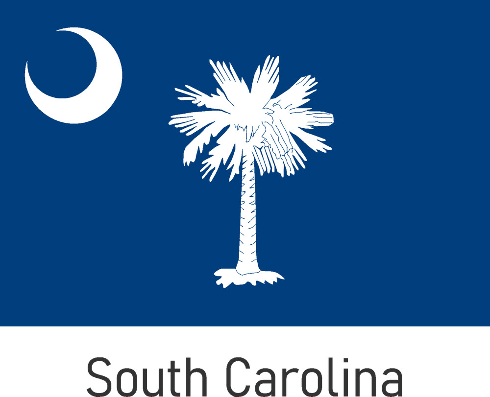 SOUTH CAROLINA STATE FLAG, STICKER, DECAL, 6 YR VINYL (FREE GIFT) TRUCK, CAR,ETC