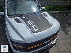 FITS 2021-2025 Ford F150 Platinum/Tremor Hood Stripe Vinyl Sticker Decal V2