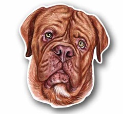 French Mastiff dog 5″ Tall Sticker Decal Waterproof Vinyl