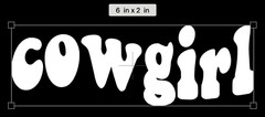 *Cowgirl Country Car Truck Funny Sticker Decal 6″ x 2”