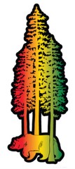 California Grown Vinyl Sticker Decal 8”