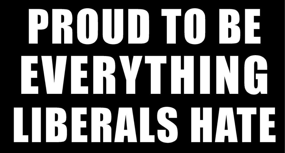 Proud To Be Everything Liberals Hate Vinyl Decal fun truck car sticker window