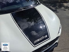 Fits 2021-2025 Ford Mustang Mach E Center Hood Stripe W Mach E Vinyl Decal