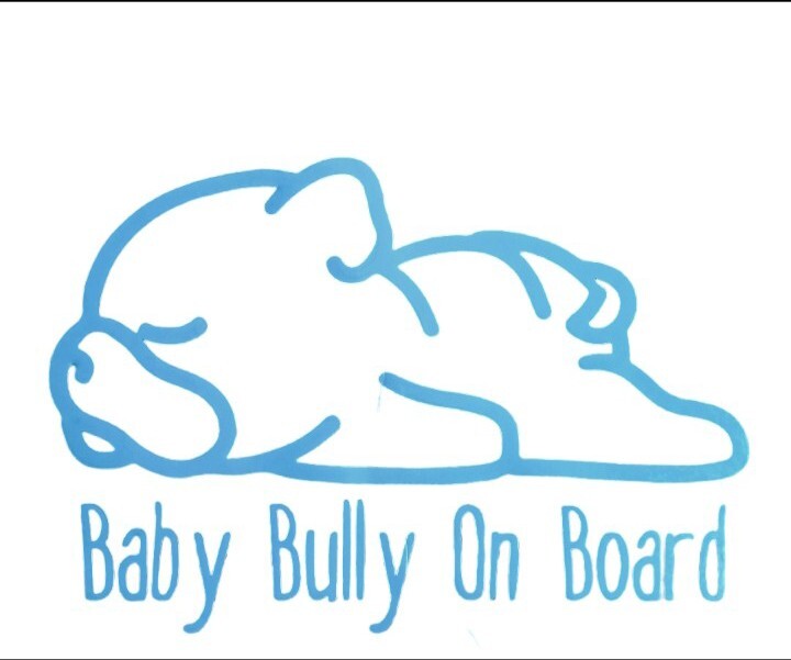 Baby Bully On Board Car Laptop Wall Decal Cute Puppy Dog Vinyl