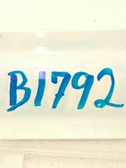 New OEM GM Front Door Lower Earnhardt Decal 2004 Impala Monte Carlo RH 88980946