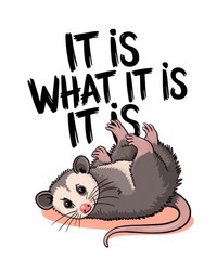 Funny Animal Quote Sticker (3 Inch) Playful Cute Opossum It Is What It Is !