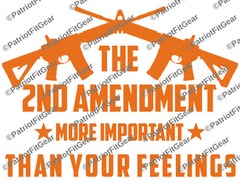 2nd Amendment,More Important Than your feeling,12×9,Gun Rights,Molon Labe,Decal