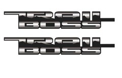 2019 2020 2021 2022 Chevy Silverado ” Next Gen” TRAIL BOSS Z71 Bedside Decals 2