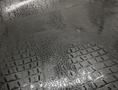 Alligator Gator Animal Texture Skin Vinyl Wrap Car Wrap Sticker Decal Film Roll