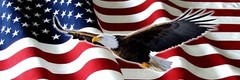 P325 American Flag Eagle Rear Window Tint Graphic Decal Wrap Back Pickup