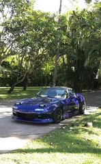 Ultra Gloss PET Liner Metallic Blueberry Car Vinyl Wrap Film Air Release