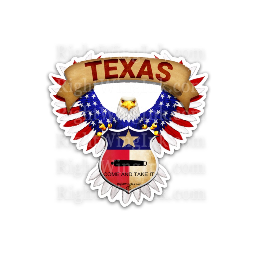 Come And Take It Texas FLAG BALD EAGLE USA 3M – RV DECAL