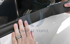 Gloss / Matte / Carbon Fiber Style Black Vinyl Wrap Roll Chrome Delete1 Car Trim