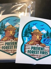 Smokey Bear Decal OLD SCHOOL 1960’s Prevent Forest Fires 2 For 1