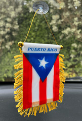 New Puerto Rico Mini Flag for Car Hanging or window 4×6