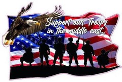 Soaring Bald Eagle American Flag Support our troops in the middle east Decal sti
