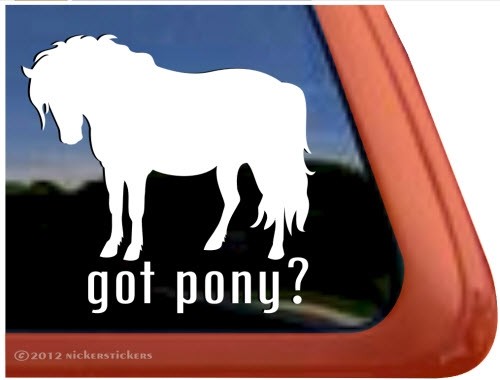 Got Pony? | High Quality Vinyl Shetland Pony Equine Horse Decal Sticker
