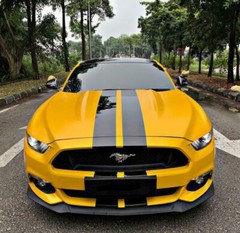 236” Black Hood Roof Trunk Rally Racing Stripe Decal Sticker For Ford Mustang