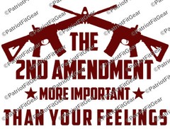 2nd Amendment,More Important Than your feeling,12×9,Gun Rights,Molon Labe,Decal