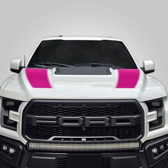 Hood Race Stripe kit for 2017 2018 2019 Ford Raptor F-150 Graphics Decals PINK