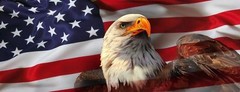 AMERICAN USA FLAG EAGLE PICK-UP TRUCK BACK WINDOW GRAPHIC DECAL PERFORATED VINYL