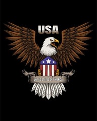 Bald Eagle American Veteran Window Decal Sticker Vinyl 6Years+ Resistance