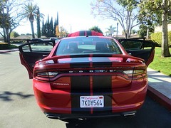 FOR Dodge Charger 15-22 Vinyl Racing 10″ Twin Stripe Graphic Decal Sticker 36 FT