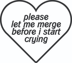 🚗 “Please Let Me Merge Before I Start Crying” Thermal Die Cut Decal 🚕