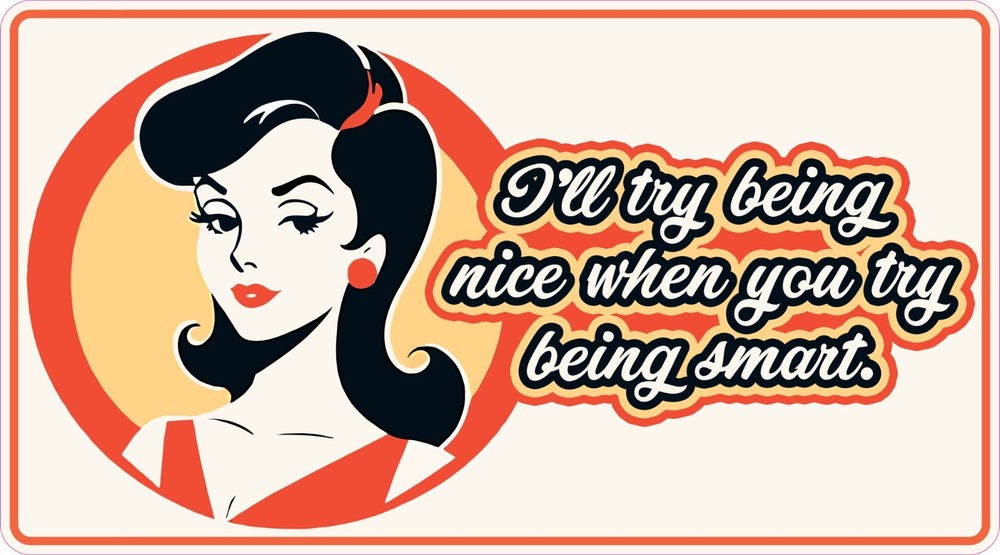 Ill Try Being Nice When You Try Being Smart Vinyl Bumper Sticker Window Decal