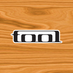 TOOL 6″ inch Vinyl Laptop Skateboard Window Bumper Sticker