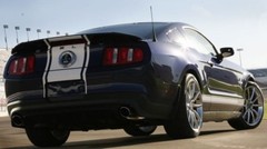 2010 – 2012 Ford Mustang 18″ & 21″ Snake Style Super Dealer Quality Stripes