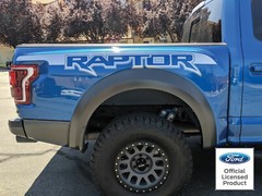 2020 Ford Raptor Factory Style Bed Graphics Vinyl Decals Stickers Set 2018-2020