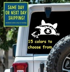 8 Sizes Raccoon Face Car Window Decal Sticker Macbook Laptop Tablet iPad gift