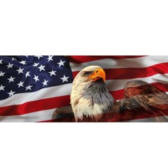 USA American Flag Graphic Decal Sticker For Car Pickup Rear Window Windshield