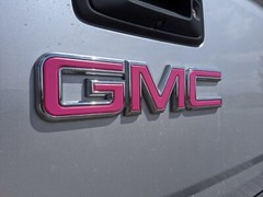 Precut DECALS for 2018 2019 2020 2021 GMC Terrain Emblem Overlay Set