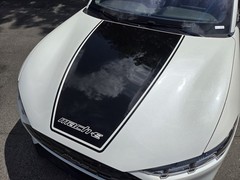 Fits 2021-2025 Ford Mustang Mach E Center Hood Stripe W Mach E Vinyl Decal