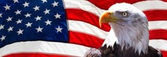 American Flag Pick Up Truck SUV Rear Back Window Graphics Decal Wrap Tint