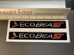 (2) Gel-coated badges Ford Explorer ST Ecoboost Focus Edge Silver/red black