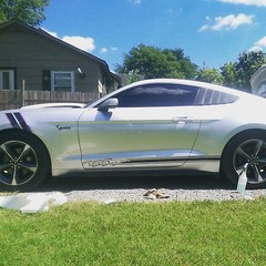 3 Horse Running Fit all Year Mustang Rocker stripes Stripe Graphics Set Decals