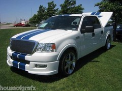 Dual 8″ Plain Racing Rally Vinyl stripes stripe decal fits Ford F150 F250 Roush