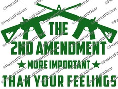 2nd Amendment,More Important Than your feeling,12×9,Gun Rights,Molon Labe,Decal