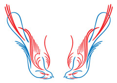 Hot Rod Pinstriping Bird Decals – Set of 2 – 11″ x 4″ – Ships Free! – 2 colors