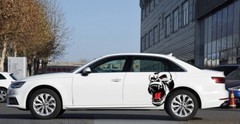 Car Hood Side Body Door Window Vinyl Horror Ape Totem Animal Decal DIY Sticker