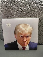 4×4 Donald Trump Mugshot Sticker Decal High image Car Truck Window Wall Laptop