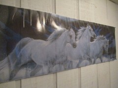 DECAL NIGHTMARES 3 WHITE HORSES RUNNING FULL SIZE TRUCK REAR WINDOW 66″ X 20″