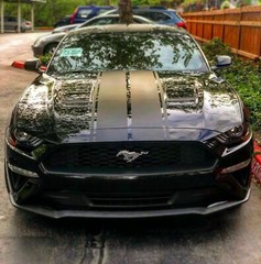 Rocker Stripe for Ford Mustang GT500 ecoboost 2014 2015 2016 2017 2018 2019 2020