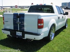 Dual 8″ Plain Racing Rally Vinyl stripes stripe decal fits Ford F150 F250 Roush
