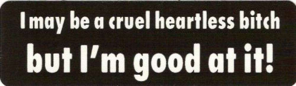 Motorcycle Sticker for Helmets or toolbox #198 I may be a cruel heartless